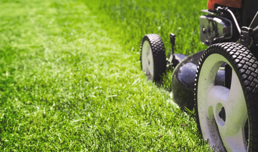 Grass Cutting